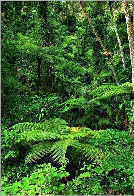 Shubh Sanket Vastu Green Scene Vastu Portait Painting Poster (16 * 20