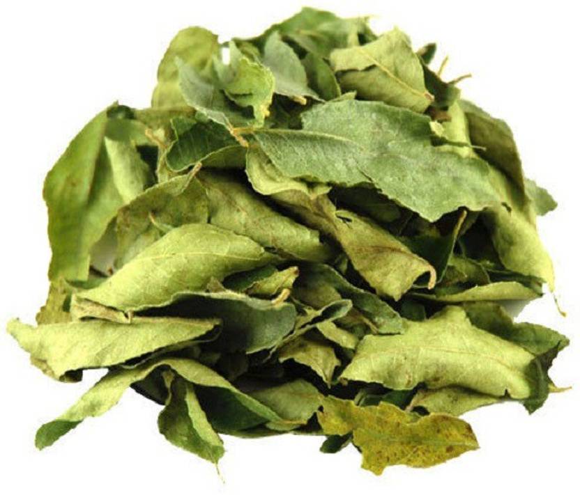 Organicgreen Herb Kadi Patta Curry Leaf Karuvepillai Patta Dry Price in