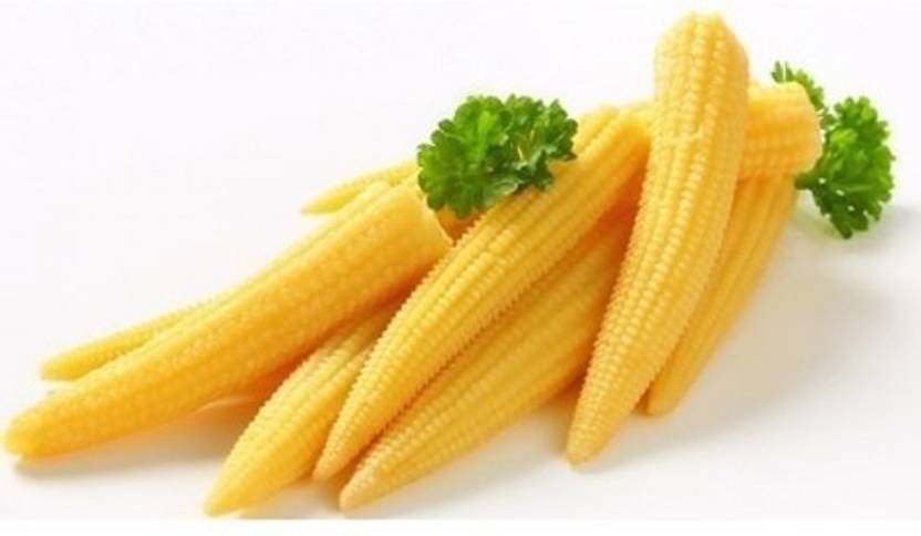 Mozette Baby Corn Seed Price in India - Buy Mozette Baby ...