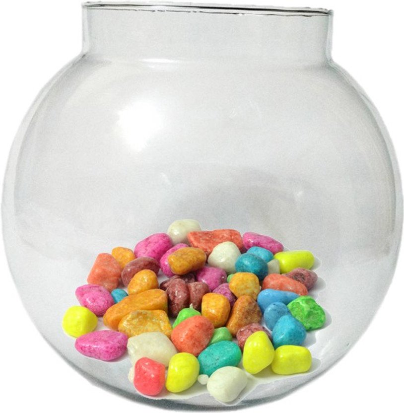 Somil F-11 Round Ends Aquarium Tank(8 L)