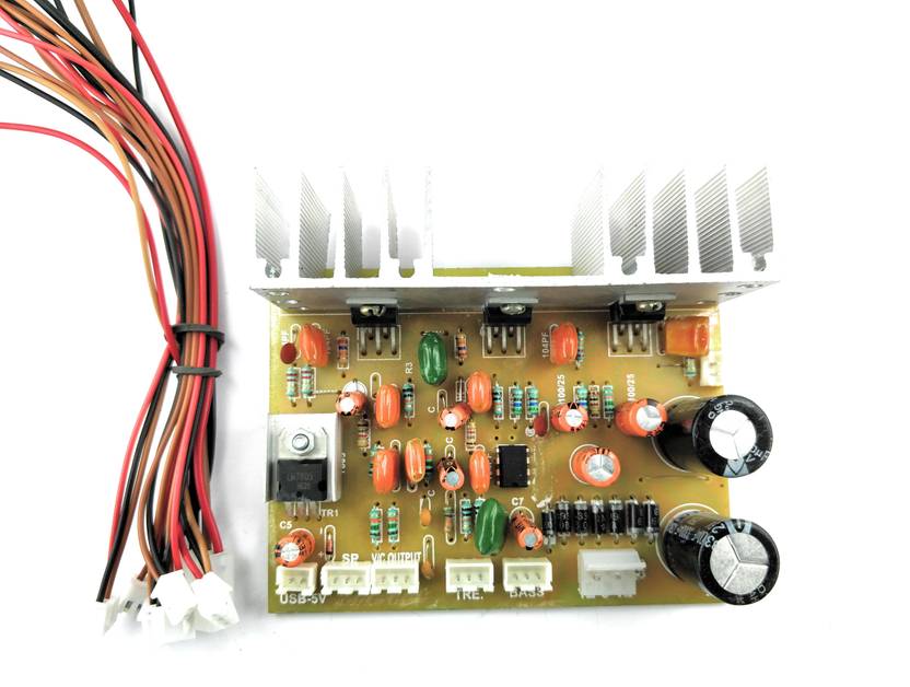 ElectroPhysics TDA 2030 3 IC 100W Bass Boosted Home Theatre Amplifier