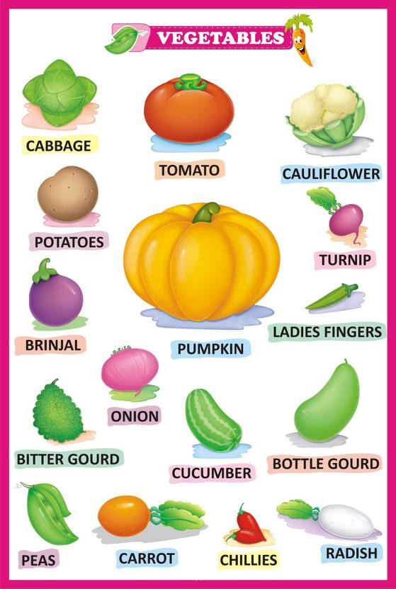 Vegetable Name Kids Learning Vegetable Vegetables Knowledge Buy