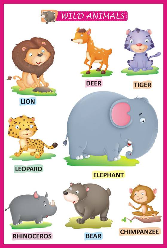 Animal Names Learning For Kids | Wild Animals Name A3 Size: Buy Animal