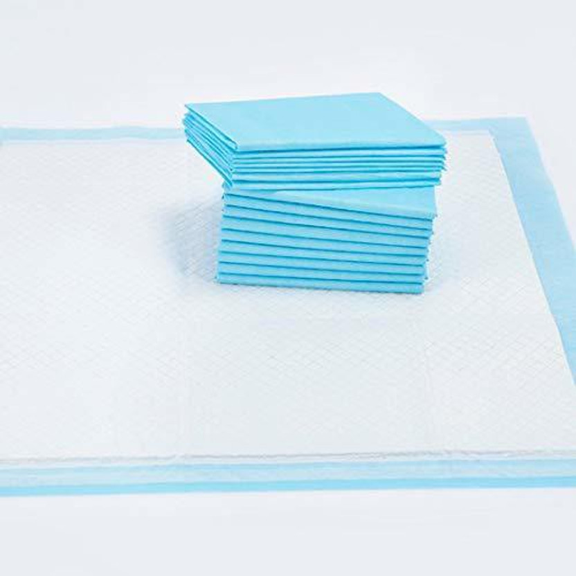 Hygiene Hub Pet Toilet Training Pad - (60 X 90) - 10 Pads Disposable Dog Diapers(Pack of 1 XL)