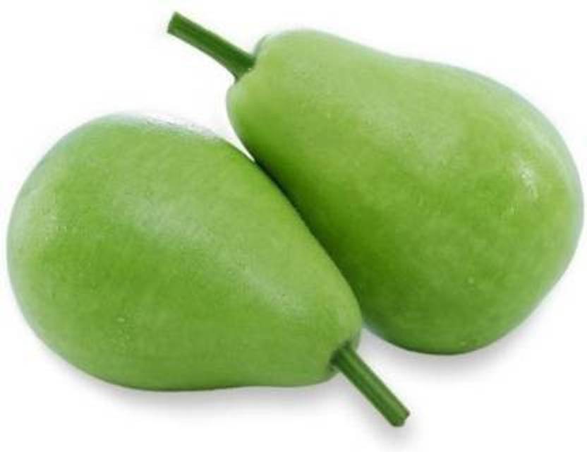 Antier BOTTLE GOURD LATTU Seed Price in India Buy Antier BOTTLE GOURD