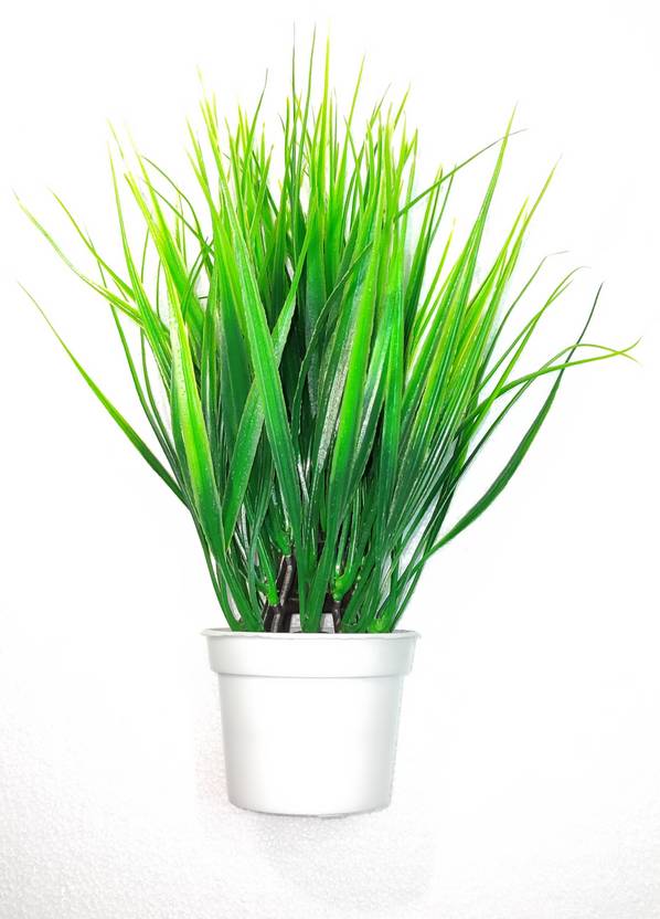 MAURYA Artificial Plant with Pot Price in India Buy MAURYA Artificial