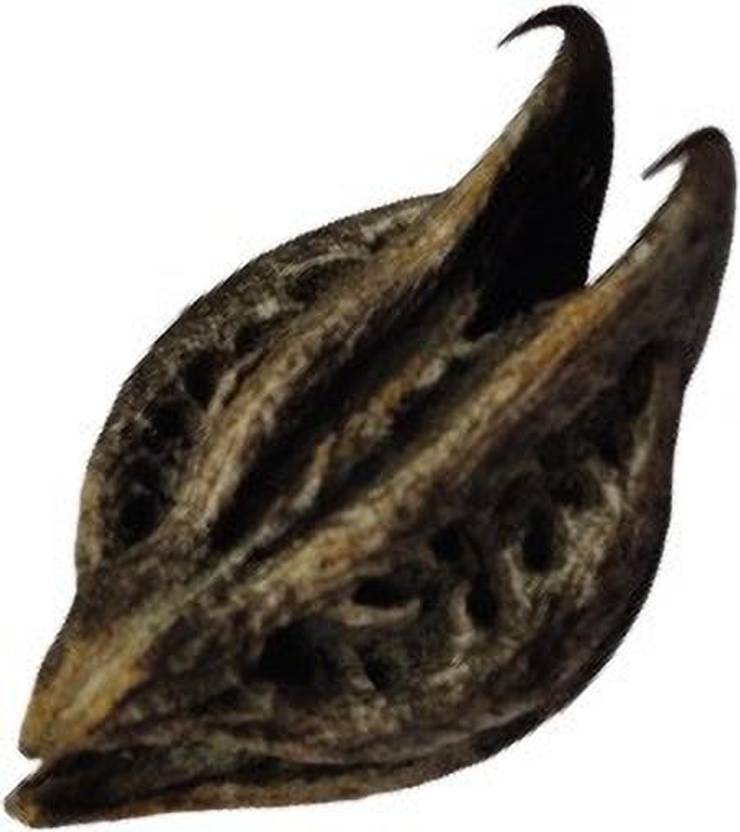CooPany Bat Head Root Seeds Seed Price in India Buy CooPany Bat Head