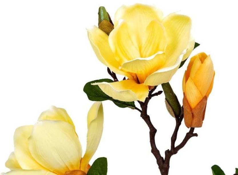 Home4U Yellow Magnolia Artificial Flower Price in India - Buy Home4U