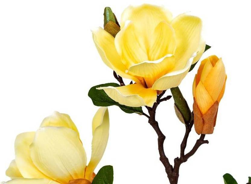 Home4U Yellow Magnolia Artificial Flower Price in India - Buy Home4U