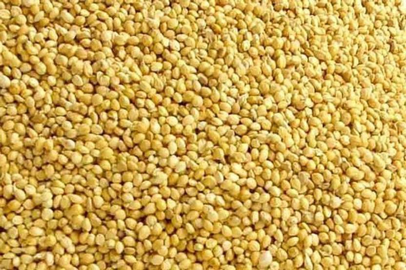 JJ FEEDS 1 KG Super Delux Chhoti Kangni Dana Foxtail Millet (Yellow
