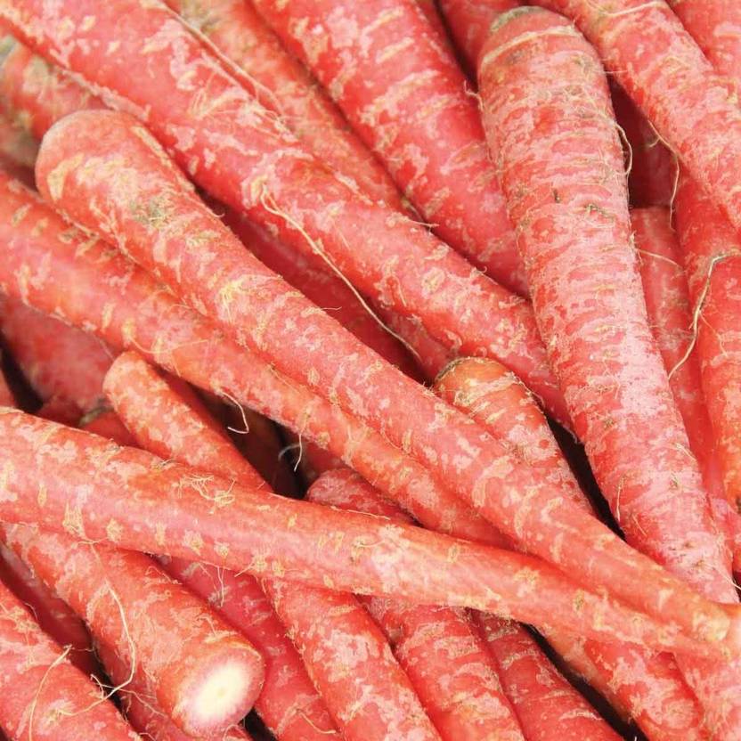 XOLDA Carrot Desi Seed Price in India Buy XOLDA Carrot Desi Seed