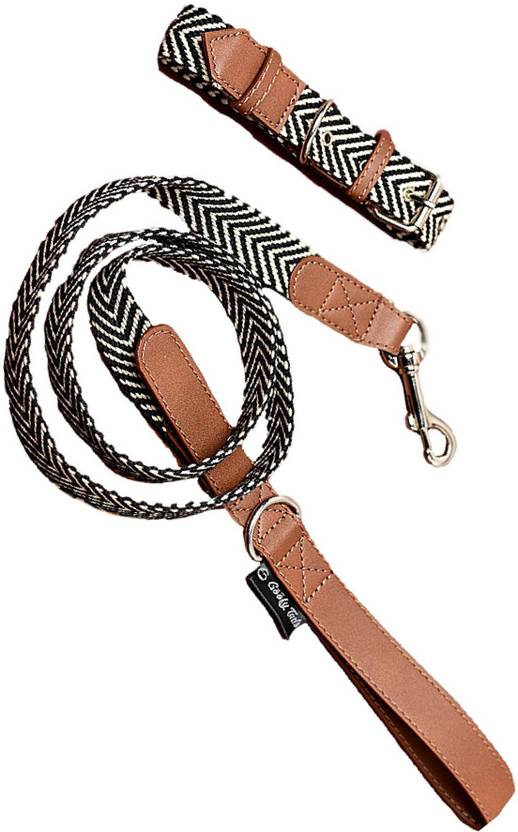 Goofy Tails Designer Collar & Leash Set Dog Collar & Leash Price in