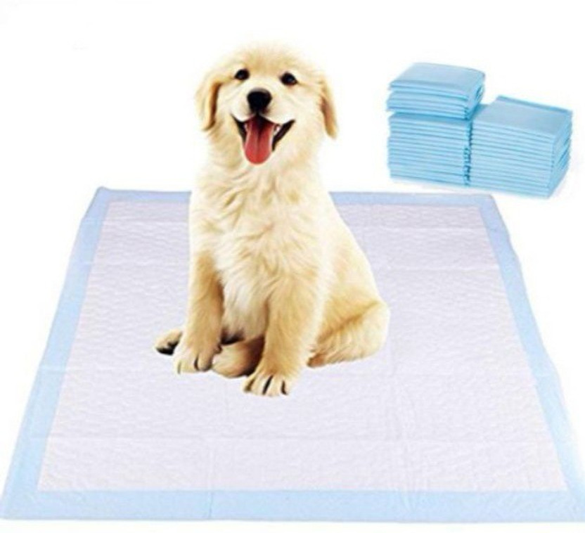 Taiyo Pluss Discovery Dog Training Pads/Size: XL/60 x 90 cm/50 Count/Training Pee and Potty Pads with Quick Drying Surface and Absorbent Core/Suitable for Small/Large Breed Puppies Disposable Dog Diapers(Pack of 50 XL)