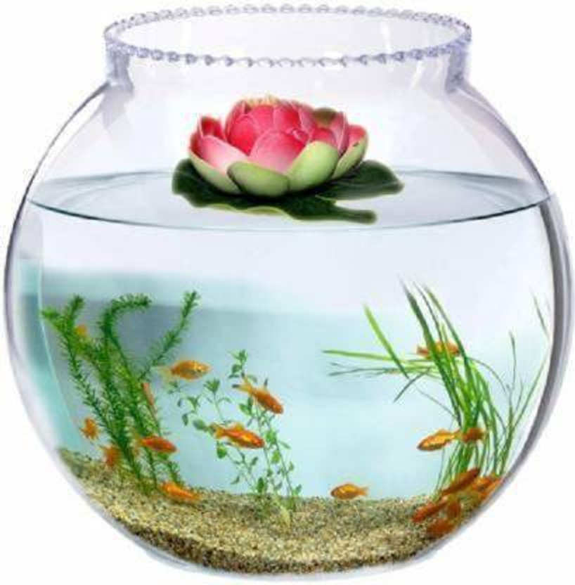 SAVORADE presenting shiny clear crystal fish aquarium and also for decoration tank_01(8) Round Ends Aquarium Tank(3 L)