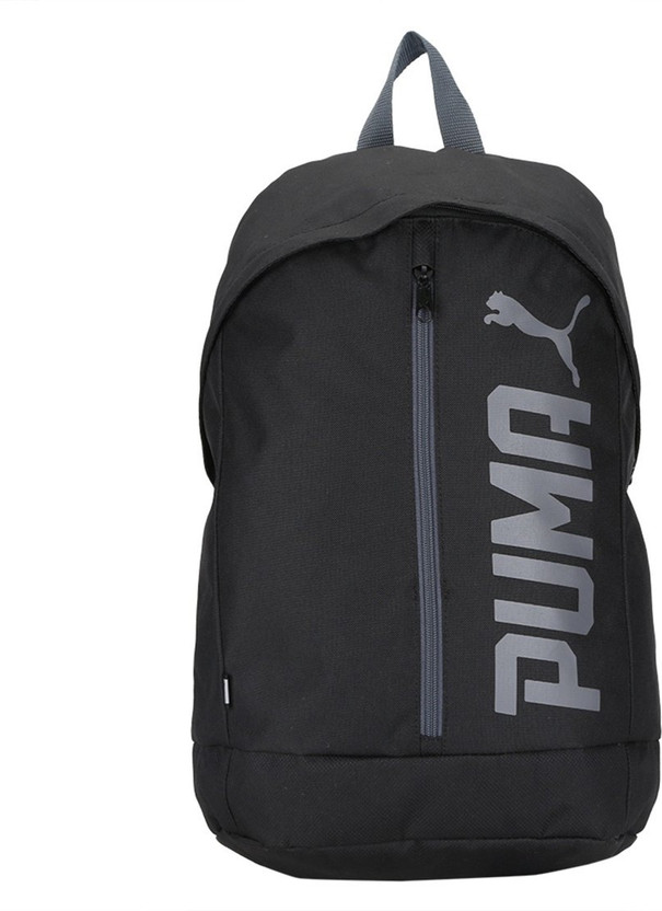 Puma pioneer 2