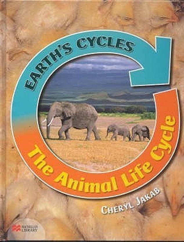 Earth's Cycles Animal Life Cycle Macmillan Library Buy Earth's Cycles