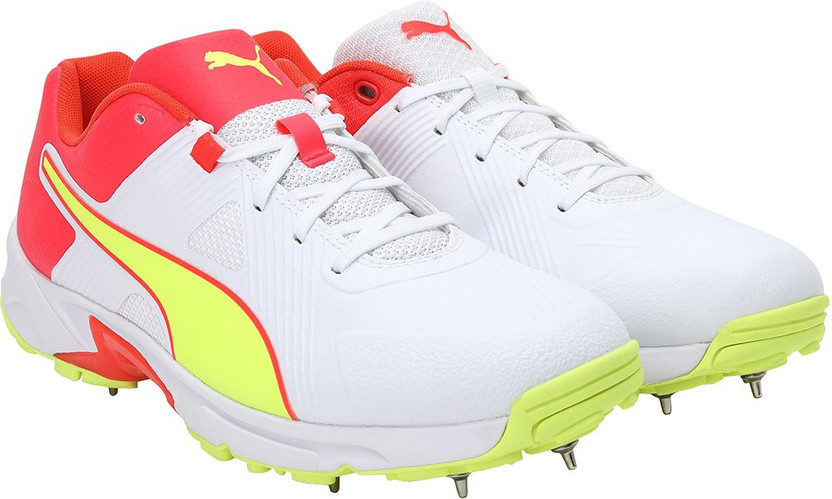 PUMA Spike 19.1 Cricket Shoes For Men 