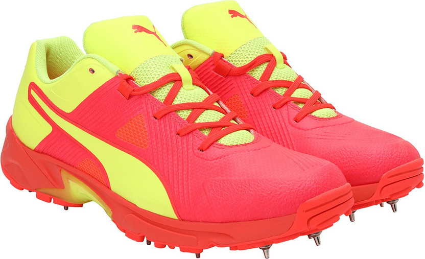 puma evospeed 19.1 cricket shoes