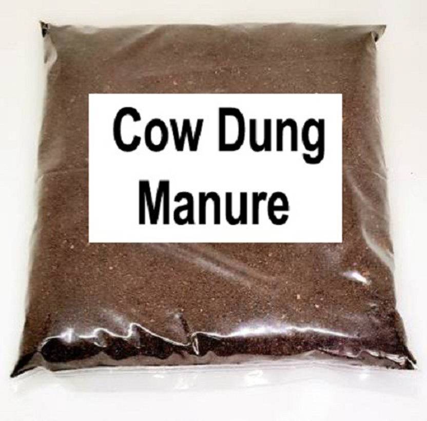 cow dung products business plan