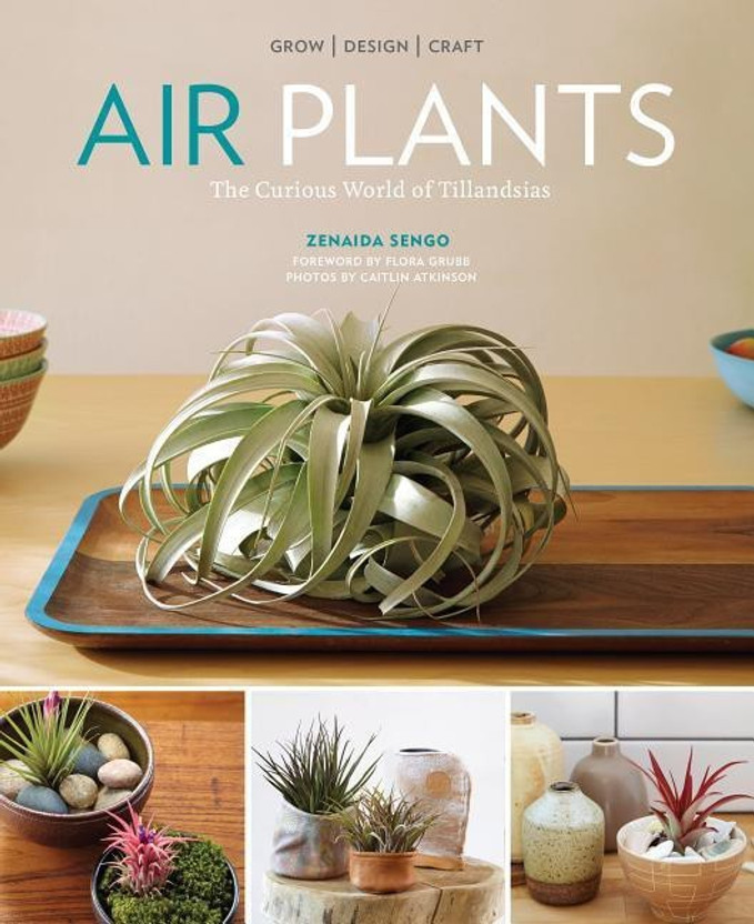 Air Plants(English, Paperback, Sengo Zenaida)