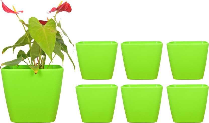 Spylark Spylark Garden Essential Plastic Indoor Planter/Plant Container/Flower Pot/Plants Nursery Seedlings Pot (Green - 9Inch - Daisy 6 Pot) Plant Container Set(Pack of 6, Plastic) - Flipkart Deal