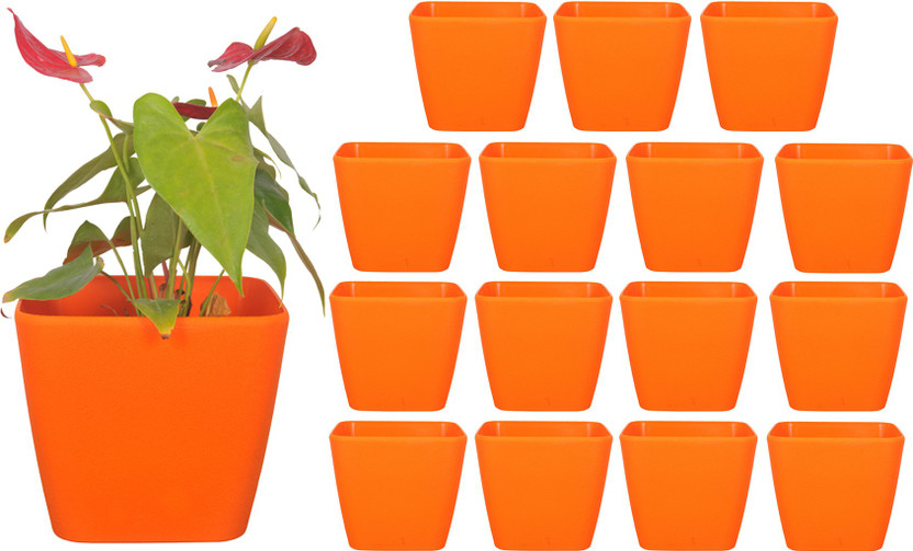 Spylark Spylark Garden Essential Plastic Indoor Planter/Plant Container/Flower Pot/Plants Nursery Seedlings Pot (Orange - 9Inch - Daisy 15 Pot) Plant Container Set(Pack of 15, Plastic) - Flipkart Deal