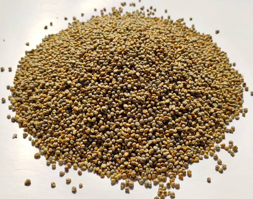 Sadhana pearl millet(bajra\kambu) 0.5 kg Dry New Born, Adult, Young