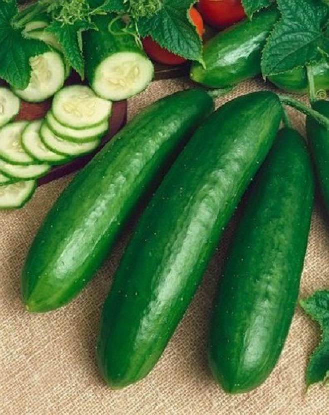 Sjeme Salad Bush Cucumber Seeds- 85 Seed Price in India - Buy Sjeme ...