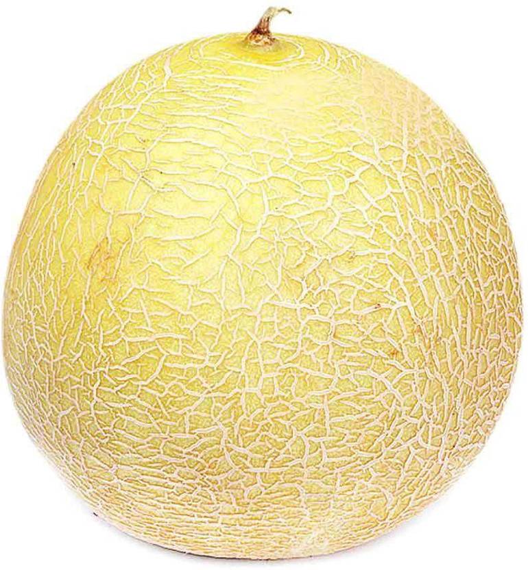 Sjeme Kharbuj / Musk Melon Seed Seed Price in India Buy Sjeme Kharbuj