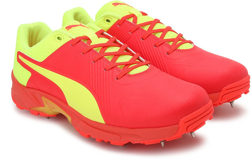 PUMA Spike 19.2 Cricket Shoes For Men 