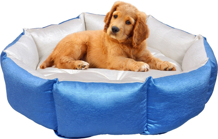 Slatters Be Royal Store PremiumQuality Velvet Luxury Washable DOG Sofa For All Season Sleeping CatPuppy XXL Pet Bed(Sky Blue Cream)