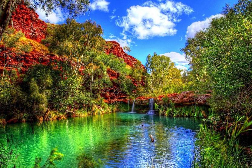 Beautiful Scenery PosterLake With Trees Nature Sticker PosterWall