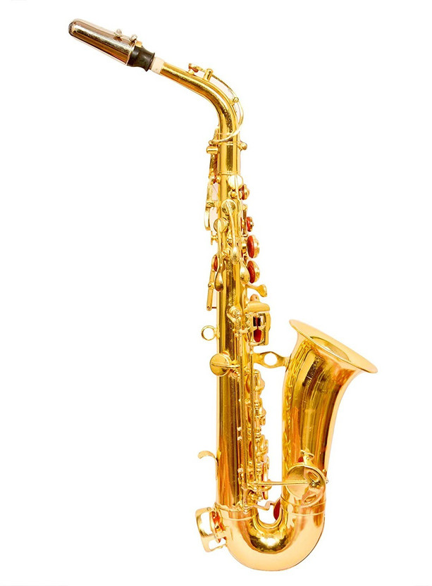 SKYLARK INTERNATIONAL Saxophone With Hard Case, Belt, Gloves and Extra Reed In Gold Lacquer Finishing SKY10011 Alto Saxophone(GOLDEN, Sax Case Included)