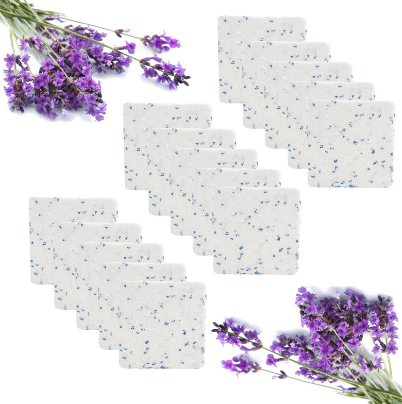 Newvent Lavender Fragrance Washing Machine Cleaner Tablet, Deep Cleaning Tablet For Tub / Drum / Laundry and Washing Machine (Pack of 15, Lavender Fragrance) Dishwashing Detergent(17.75 g)