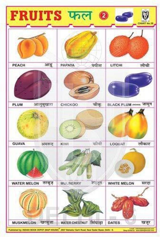 FRUITS CHART NO.2 CHART [Wall Chart] INDIAN BOOK DEPOT (MAP HOUSE
