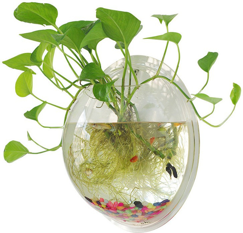 Petzlifeworld 15 Inch Acrylic Wall Hanging Bowl for Fish and Plants Round Ends Aquarium Tank(5 L)