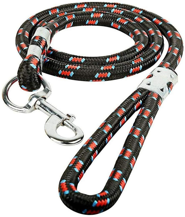 premium dry dog food