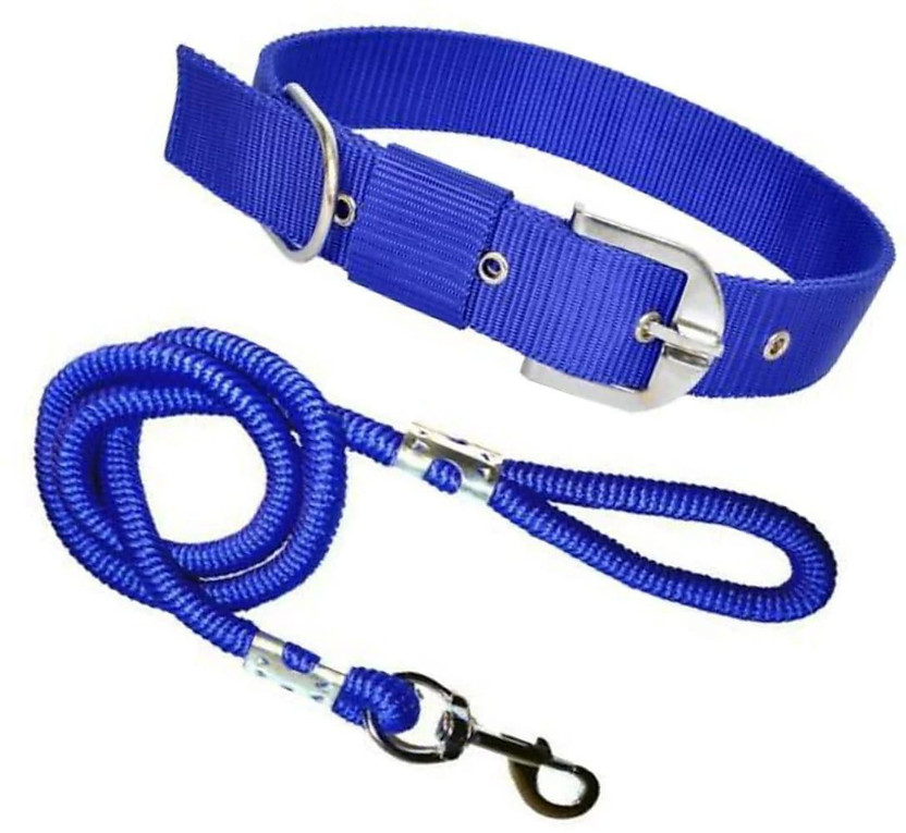 SENAPATI Dog Belts Neck Collar and Rope Set (Waterproof, Medium, Leash Size Dog Collar & Leash(Medium, Blue)
