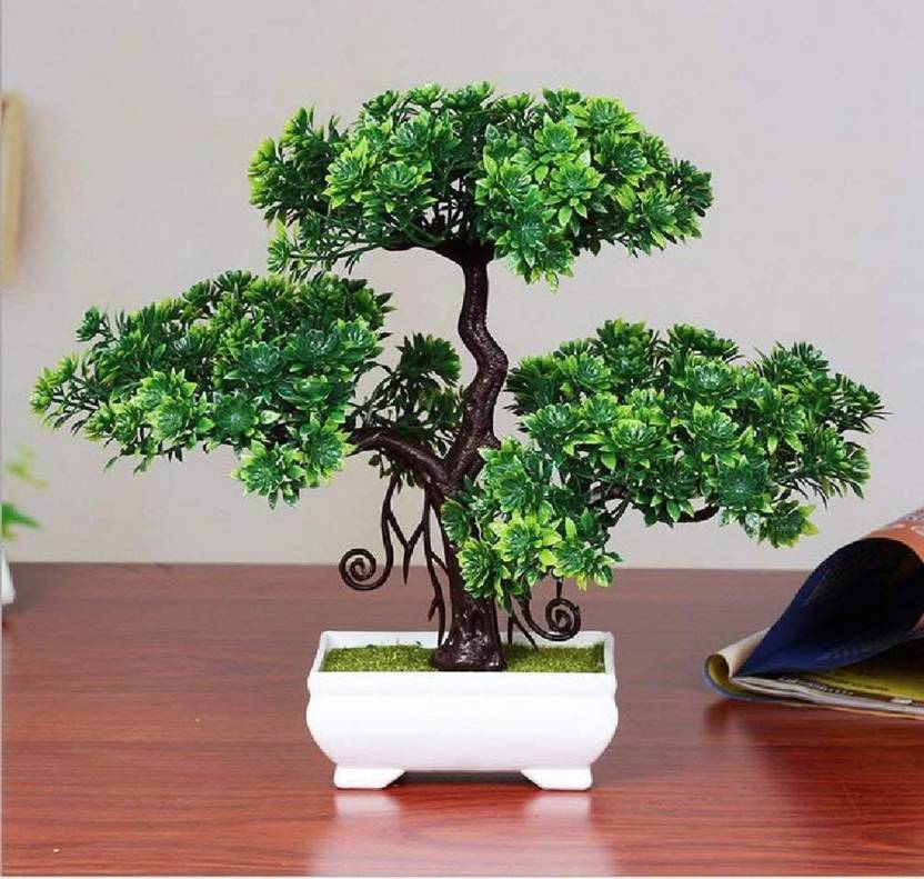 deconte Bonsai Wild Artificial Plant with Pot Price in India Buy