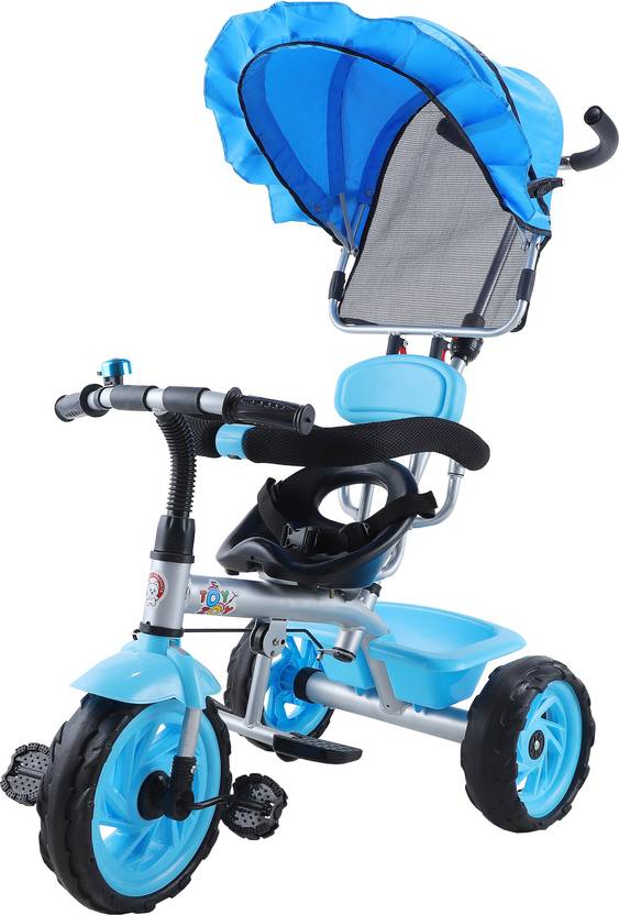 Toyzoy Maple Pro KidsBaby TrikeTricycle with Canopy for Age Group 1.5