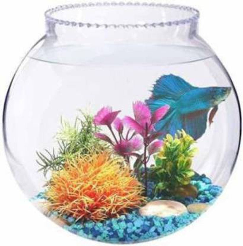 SAVORADE presenting shiny clear crystal fish aquarium and also for decoration tank_10i Round Ends Aquarium Tank(5 L)