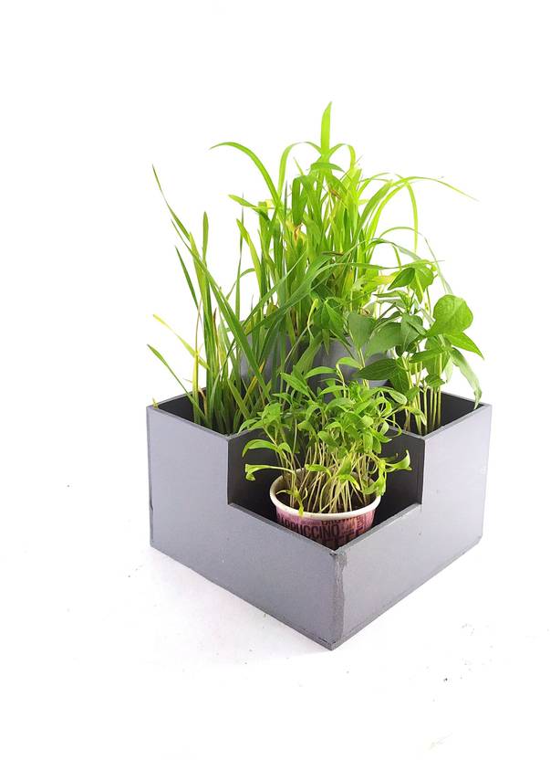 4B's Enterprises Plant Container Plant Container Set Price in India