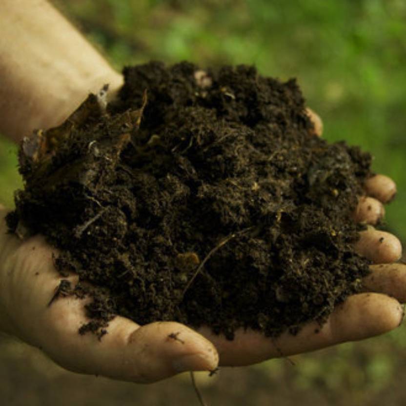 FARMBLESSING cow dung manure 2 KG Manure, Soil, Fertilizer Price in