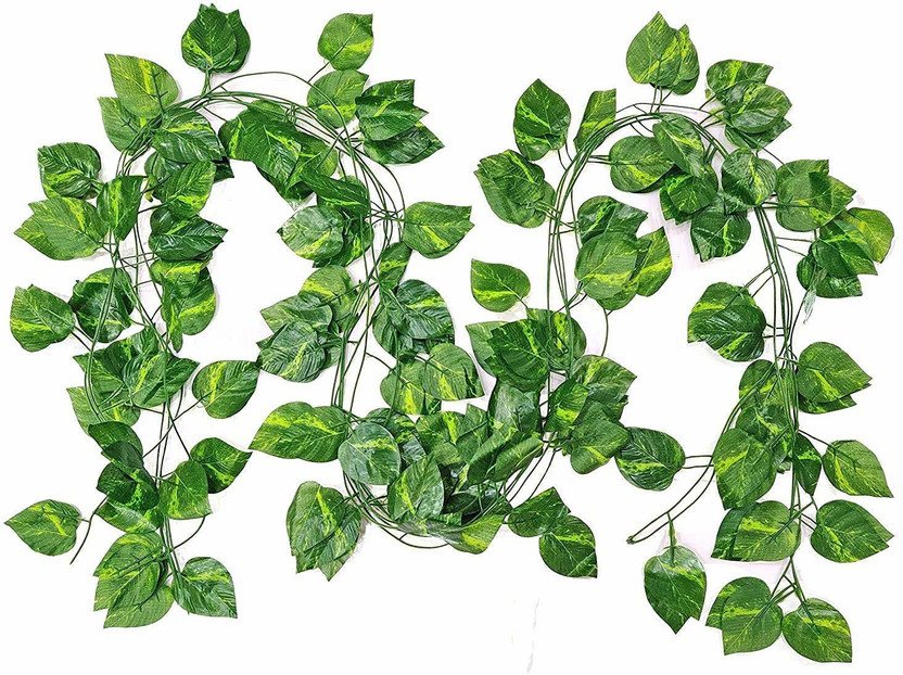 ductor Artificial Leaves Creeper Vines Garlands, Wall Hanging, L~8 Feet (Pack Of 3) Artificial Plant(7.87 ft, Green)