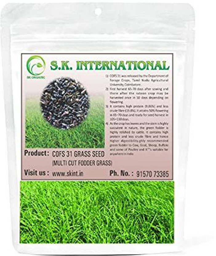 SK ORGANIC COFS 31 Multicut Grass fodder Seeds for Cattle feed like Cow buffalo goat etc Seed(1 kg)