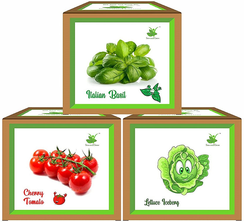 Sow and Grow basil, lettuce, tomato Seed(3 per packet)