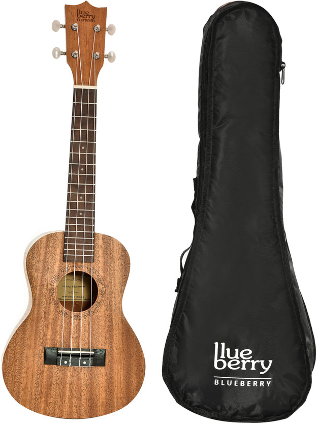 BLUEBERRY UK-10-Brown-ABS Concert 23 Inch Ukulele | Nylon String, Sapele wood Body, Engineering Wood Fingerboard, ABS bridge, Matte Finish, with Bag and Picks | Natural Brown Concert Ukulele(Overall Length - 62 cm)
