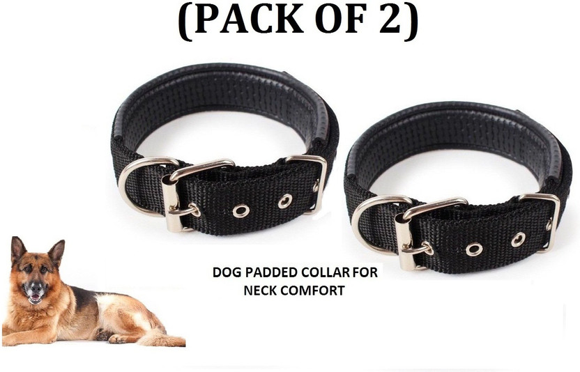 Hachiko Dog Everyday Collar(Medium, Black)