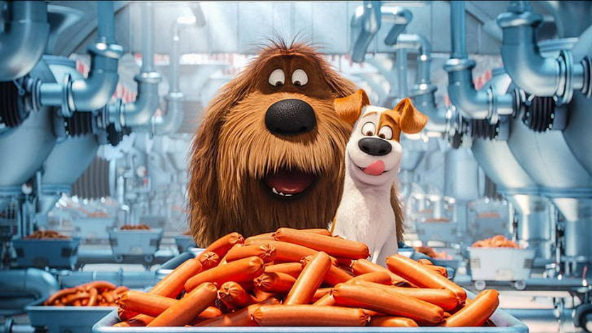 where to buy the secret life of pets movie where to buy the secret life of pets movie