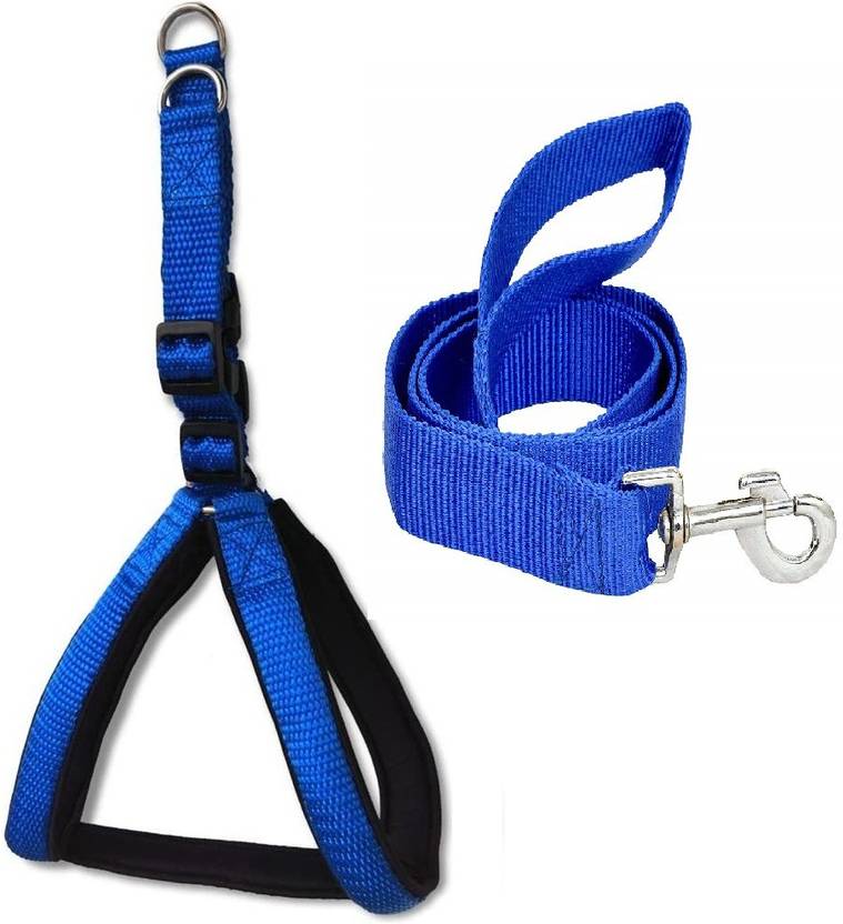 DYS Pets Dog Harness 1 inch Royal blue, Black Padded Dog Body Harness